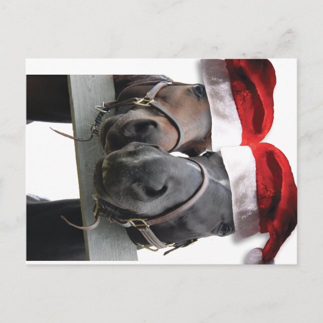 Cartes Pour Fêtes Annuelles Cheval Amour et Joyeux Noël (Devant)