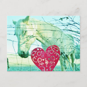 Cartes Pour Fêtes Annuelles Cheval Blanc Coeur Rouge Saint Valentin