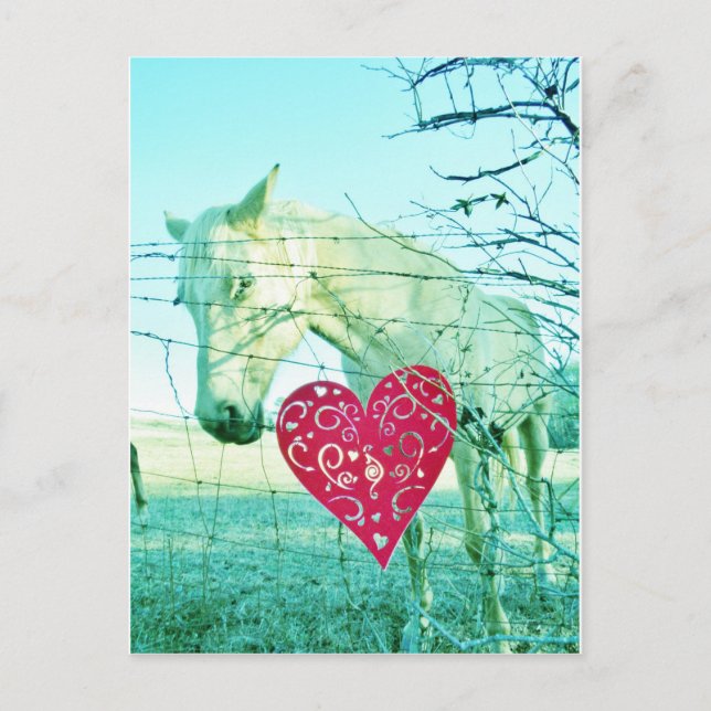 Cartes Pour Fêtes Annuelles Cheval Blanc Coeur Rouge Saint Valentin (Devant)