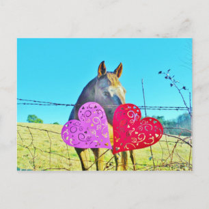 Cartes Pour Fêtes Annuelles Cheval blanc et Brown Valentine Coeurs