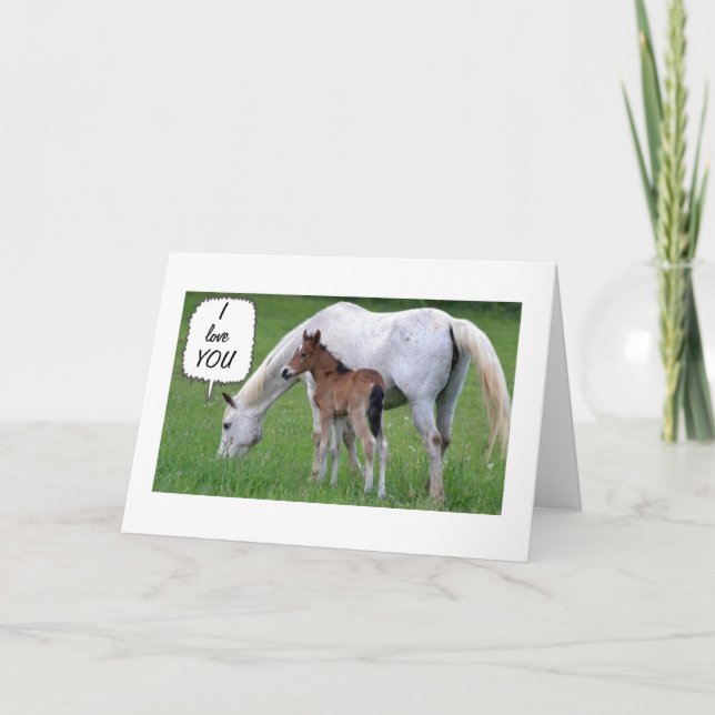 CARTES POUR FÊTES ANNUELLES CHEVAL/COLT AIDE DÉCLARE L'AMOUR À NOËL (Devant)