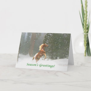 Cartes Pour Fêtes Annuelles Cheval d'Appaloosa de Bonnes Fêtes