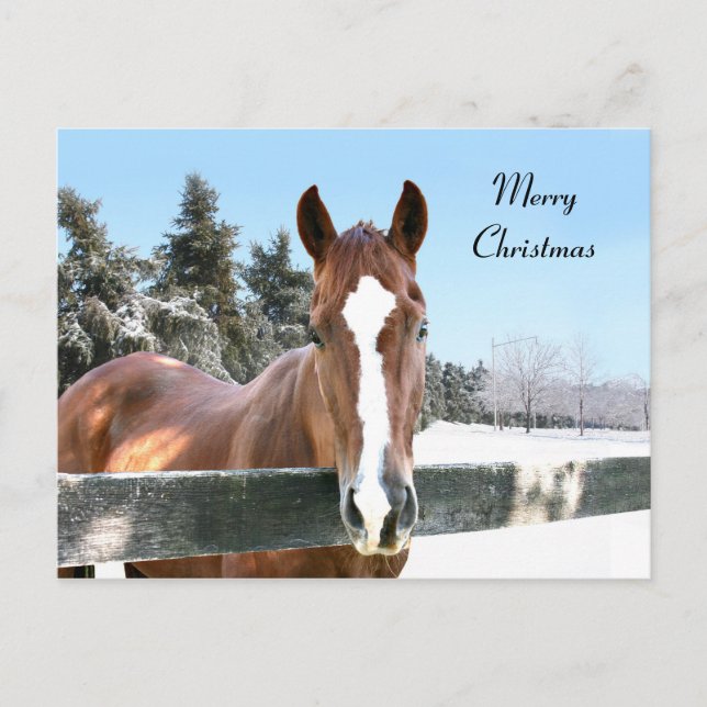 Cartes Pour Fêtes Annuelles Cheval de Joyeux Noël (Devant)