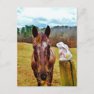 Cartes Pour Fêtes Annuelles Cheval de lapin et de brun de Pâques