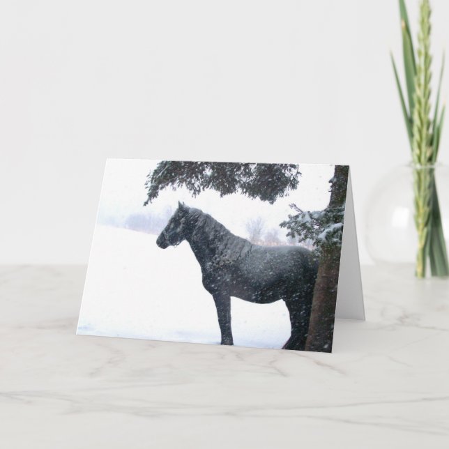 Cartes Pour Fêtes Annuelles Cheval de neige (Devant)