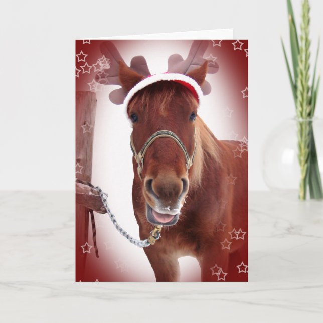 Cartes Pour Fêtes Annuelles Cheval de Noël (Devant)