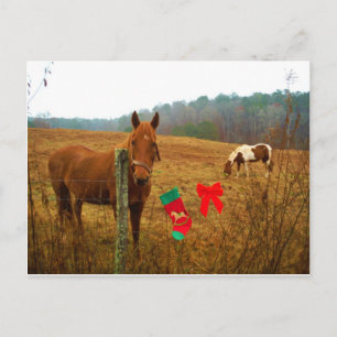 Cartes Pour Fêtes Annuelles Cheval de Noël avec arc et stockage