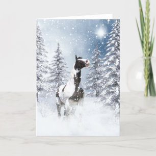 Cartes Pour Fêtes Annuelles Cheval de pinto d'hiver