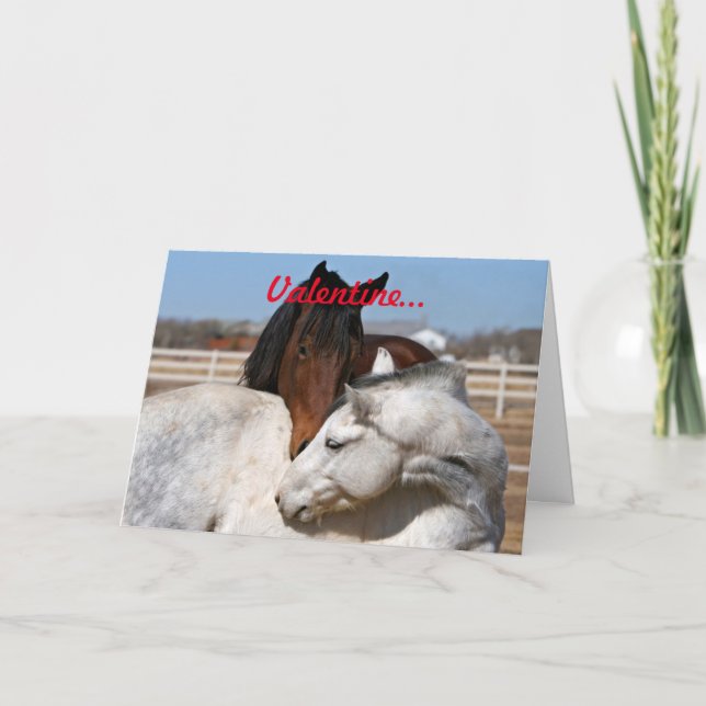 Cartes Pour Fêtes Annuelles Cheval de Saint-Valentin (Devant)
