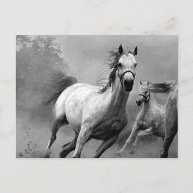 Cartes Pour Fêtes Annuelles Cheval en course (Devant)