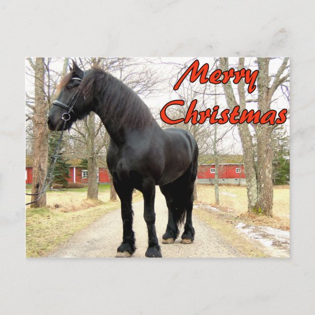Cartes Pour Fêtes Annuelles Cheval joyeux Christmas.jpg (Devant)