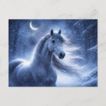 Cheval Neige Noël Nuit Yule