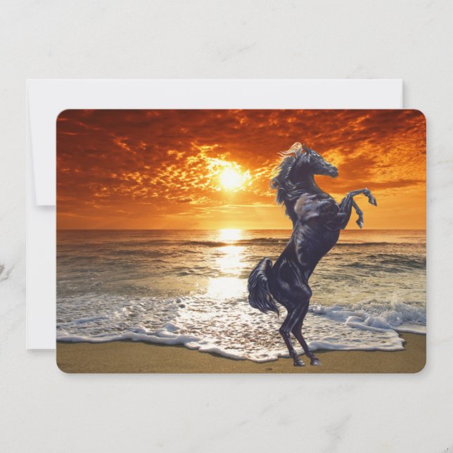 Cartes Pour Fêtes Annuelles Cheval Noir Stallion Sur La Plage (Devant)