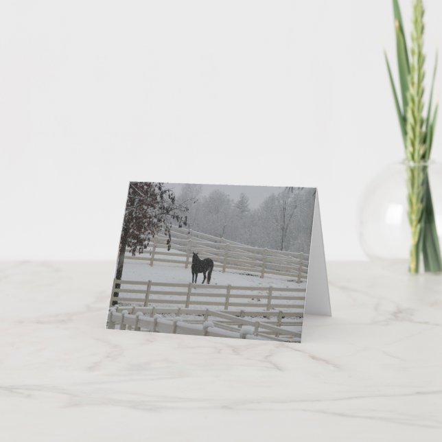 Cartes Pour Fêtes Annuelles Cheval solitaire (Devant)