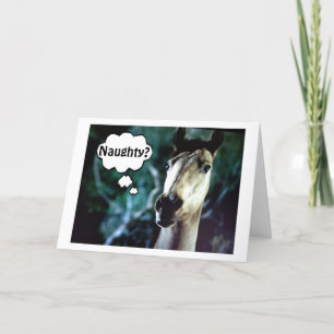 CARTES POUR FÊTES ANNUELLES CHEVAL SURPRIS=VOUS ÉTIEZ MAL AVANT NOËL