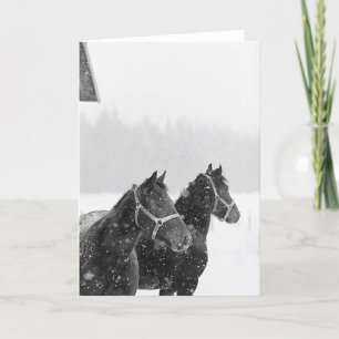 Cartes Pour Fêtes Annuelles Chevaux de Neige Equine Noël Hioliday
