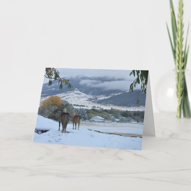 Cartes Pour Fêtes Annuelles Chevaux De Neige Frais (Devant)
