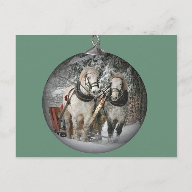 Cartes Pour Fêtes Annuelles Chevaux de Noël (Devant)