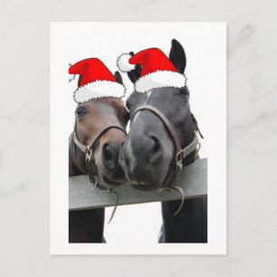 Cartes Pour Fêtes Annuelles Chevaux de Noël
