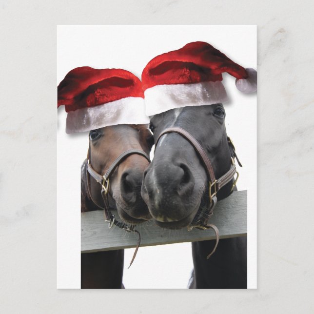 Cartes Pour Fêtes Annuelles Chevaux de Noël avec chapeau de Père Noël (Devant)