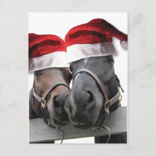 Cartes Pour Fêtes Annuelles Chevaux de Noël avec chapeau de Père Noël