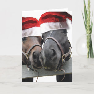 Cartes Pour Fêtes Annuelles Chevaux de Noël avec chapeau de Père Noël