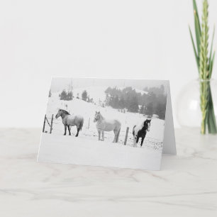 Cartes Pour Fêtes Annuelles Chevaux En Hiver