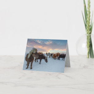 Cartes Pour Fêtes Annuelles Chevaux islandais dans la neige