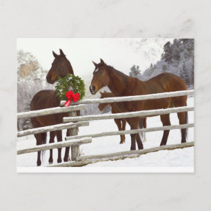 Cartes Pour Fêtes Annuelles Chevaux regardant sur la clôture dans la neige