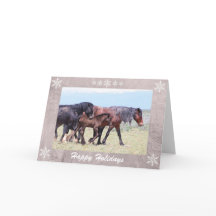 Chevaux sauvages