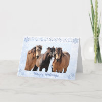 Chevaux sauvages