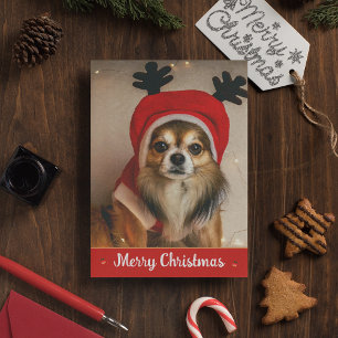 Cartes Pour Fêtes Annuelles Cheveux longs Chihuahua Animal de compagnie drôle 