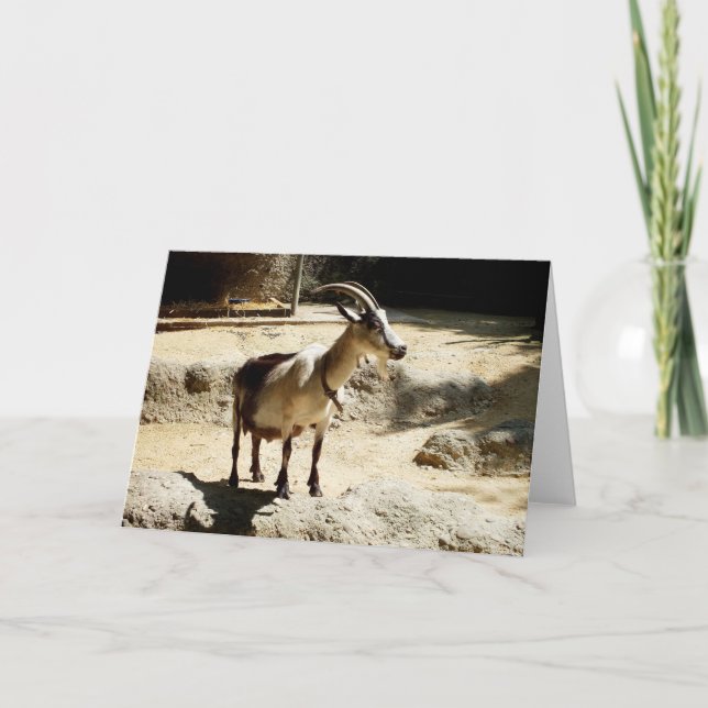 Cartes Pour Fêtes Annuelles Chèvre (Devant)