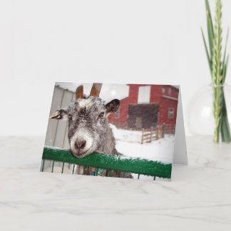 Cartes Pour Fêtes Annuelles Chèvre de Noël
