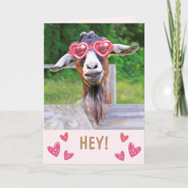 Cartes Pour Fêtes Annuelles Chèvre Lovestruck Saint-Valentin (Devant)