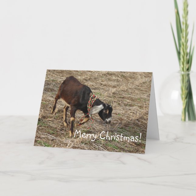Cartes Pour Fêtes Annuelles Chèvre nubienne, Joyeux Noël ! (Devant)