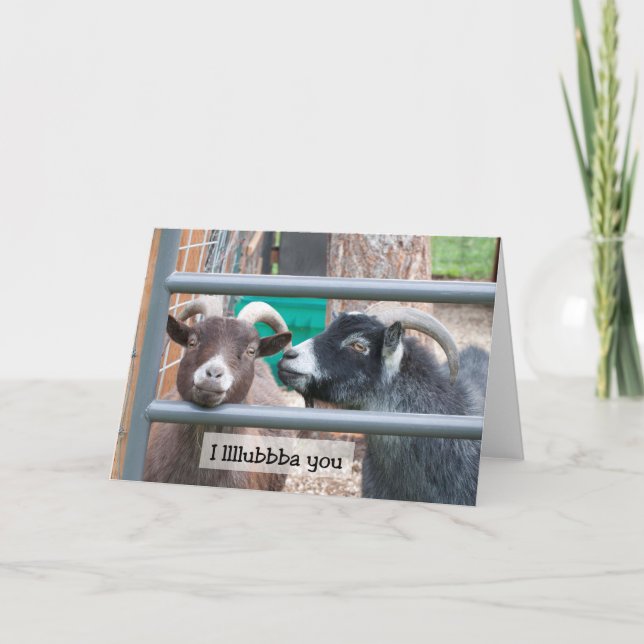 Cartes Pour Fêtes Annuelles Chèvres amoureuses (Devant)