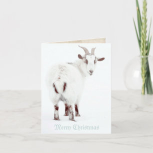 Cartes Pour Fêtes Annuelles Chèvres de Noël