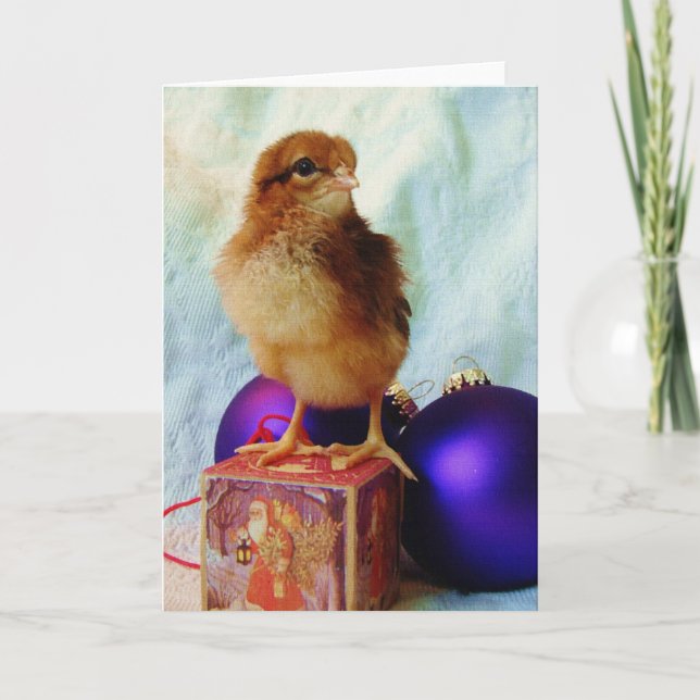 Cartes Pour Fêtes Annuelles Chick de Noël (Devant)