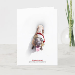 Cartes Pour Fêtes Annuelles Chien 2 d'abri de vacances