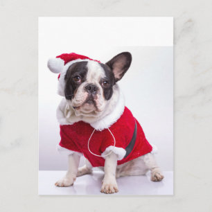 Cartes Pour Fêtes Annuelles Chien À Balle Français En Costume Père Noël Pour N
