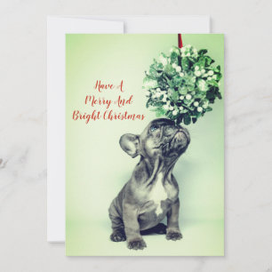 Cartes Pour Fêtes Annuelles Chien à chienne français Mistletoe Joyeux brillant