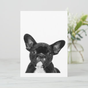 Cartes Pour Fêtes Annuelles Chien adorable Black French Bulldog Face
