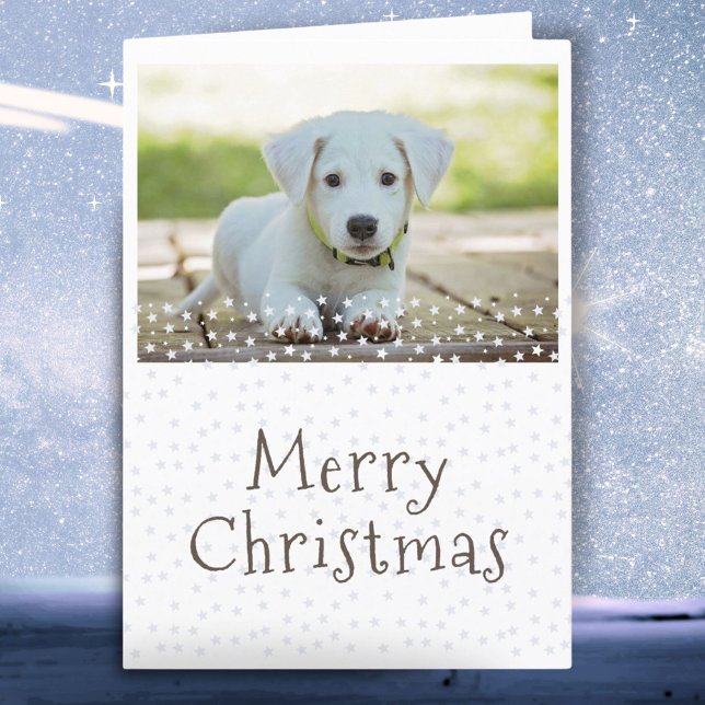 Cartes Pour Fêtes Annuelles Chien Animaux de compagnie Photo Stars Joyeux Noël (Créateur téléchargé)