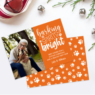 CARTES POUR FÊTES ANNUELLES CHIEN BARRÉ ESPRIT BRIGHT PAWS ORANGE NOËL