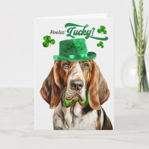 Cartes Pour Fêtes Annuelles Chien Basset Hound Sentiment Chanceux St Patrick's