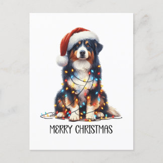 Cartes Pour Fêtes Annuelles Chien berger australien enveloppé dans la lumière
