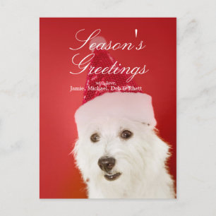 Cartes Pour Fêtes Annuelles Chien blanc avec chapeau de Père Noël