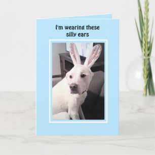 Cartes Pour Fêtes Annuelles Chien blanc mignon avec lapin de Pâques oreilles b