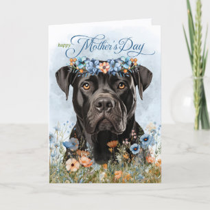 Cartes Pour Fêtes Annuelles Chien Cane Corso Fleurs Sauvages Fête des Mères